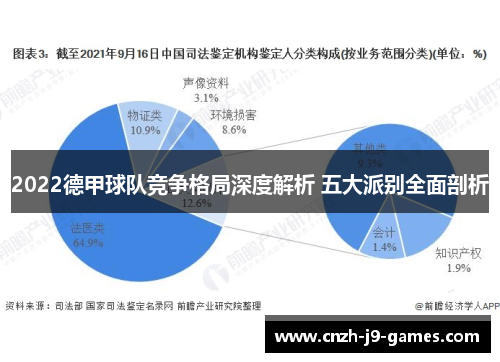 2022德甲球队竞争格局深度解析 五大派别全面剖析