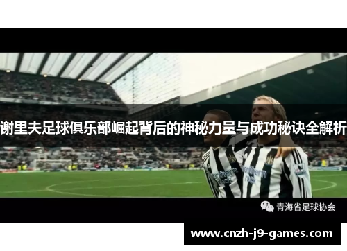 谢里夫足球俱乐部崛起背后的神秘力量与成功秘诀全解析