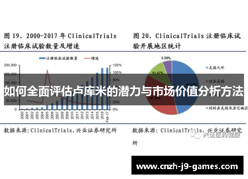 如何全面评估卢库米的潜力与市场价值分析方法